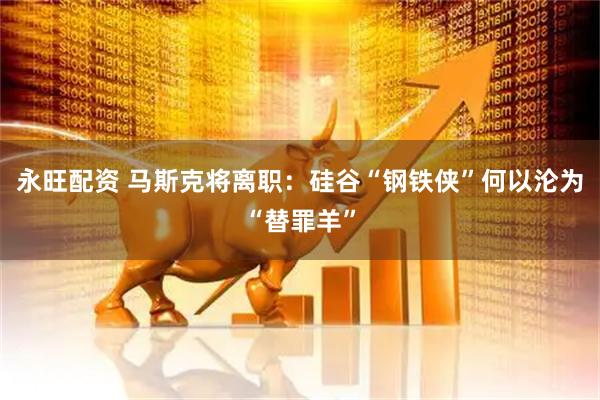 永旺配资 马斯克将离职：硅谷“钢铁侠”何以沦为“替罪羊”