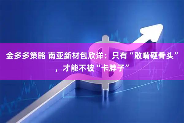 金多多策略 南亚新材包欣洋：只有“敢啃硬骨头”，才能不被“卡脖子”