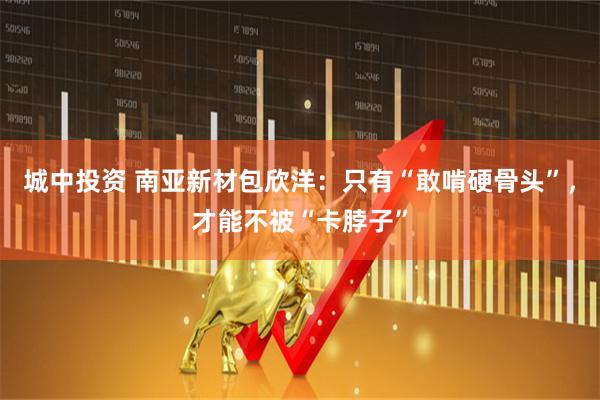 城中投资 南亚新材包欣洋：只有“敢啃硬骨头”，才能不被“卡脖子”
