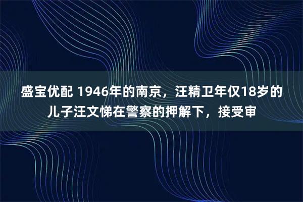 盛宝优配 1946年的南京，汪精卫年仅18岁的儿子汪文悌在警察的押解下，接受审
