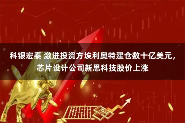 科银宏泰 激进投资方埃利奥特建仓数十亿美元，芯片设计公司新思科技股价上涨
