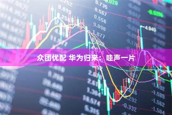 众团优配 华为归来：哇声一片