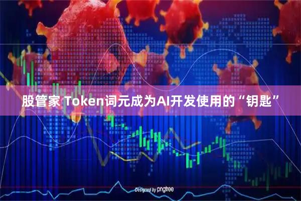 股管家 Token词元成为AI开发使用的“钥匙”