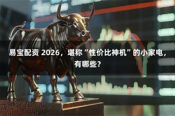 易宝配资 2026,堪称“性价比神机”的小家电,有哪些?