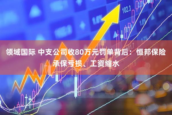 领域国际 中支公司收80万元罚单背后:恒邦保险承保亏损、工资缩水