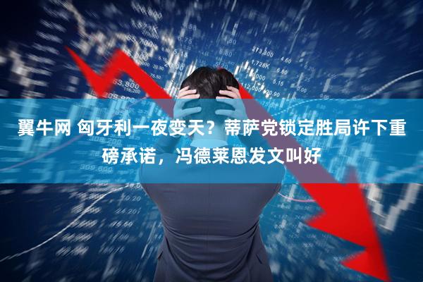 翼牛网 匈牙利一夜变天?蒂萨党锁定胜局许下重磅承诺,冯德莱恩发文叫好