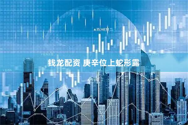 钱龙配资 庚辛位上蛇形露